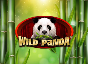 Wild Panda Slot